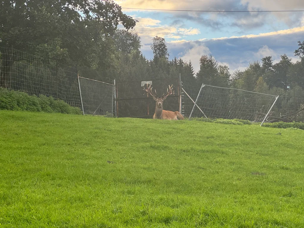 Bild von Claire für den Spot 1663