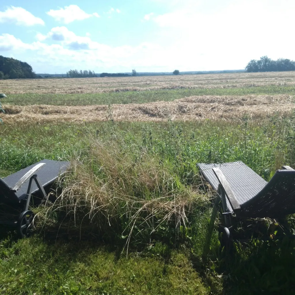 Alter Bauernhof zw. Nord- & Ostsee