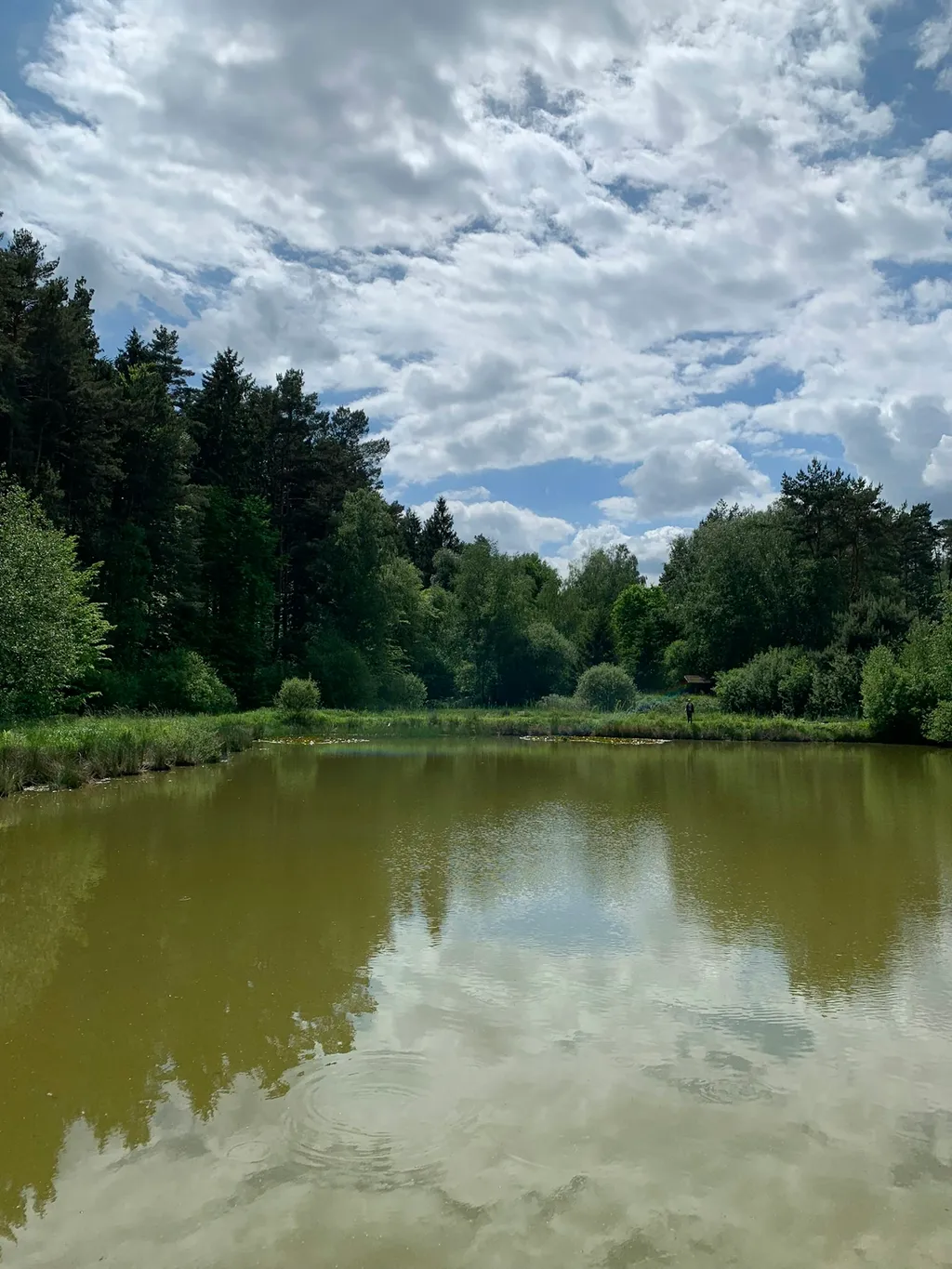 Wiese an der Apfelallee