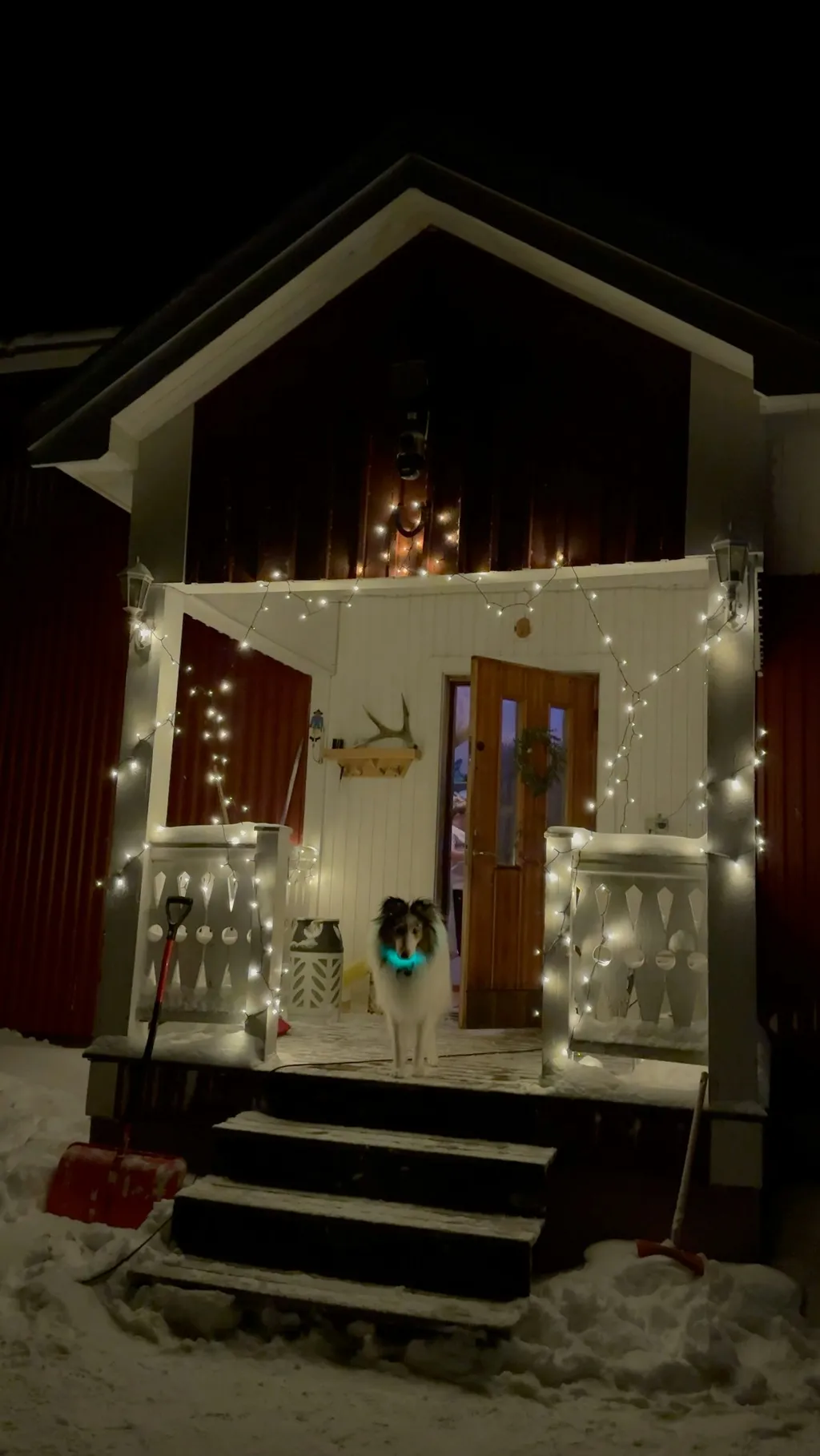 Photo de profil de Lars