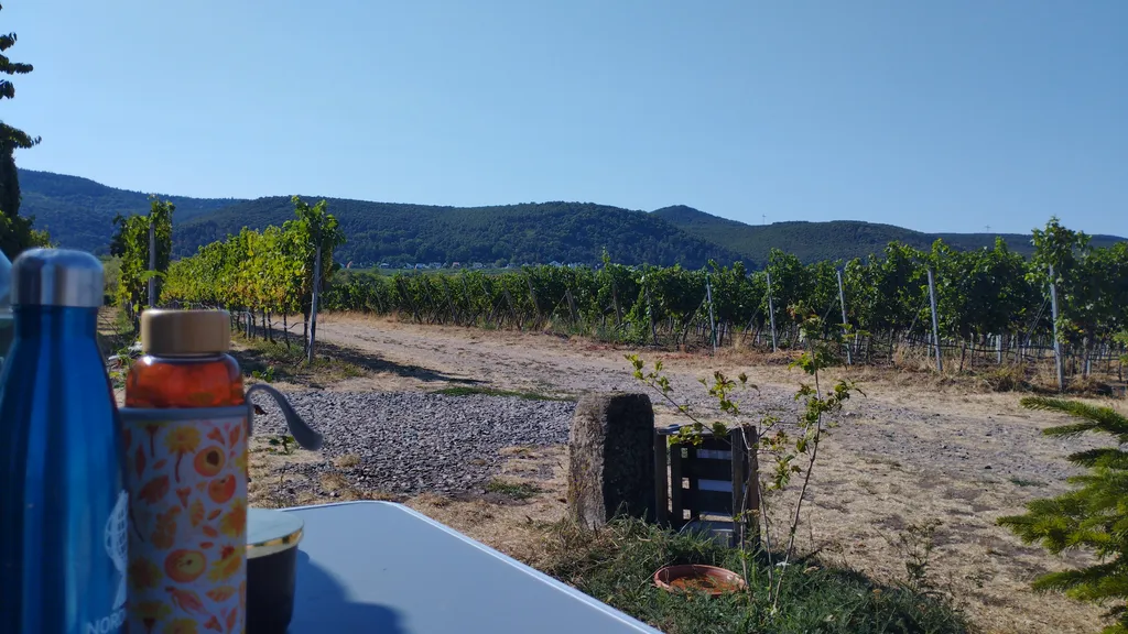 Bild von Pia für den Spot 5050