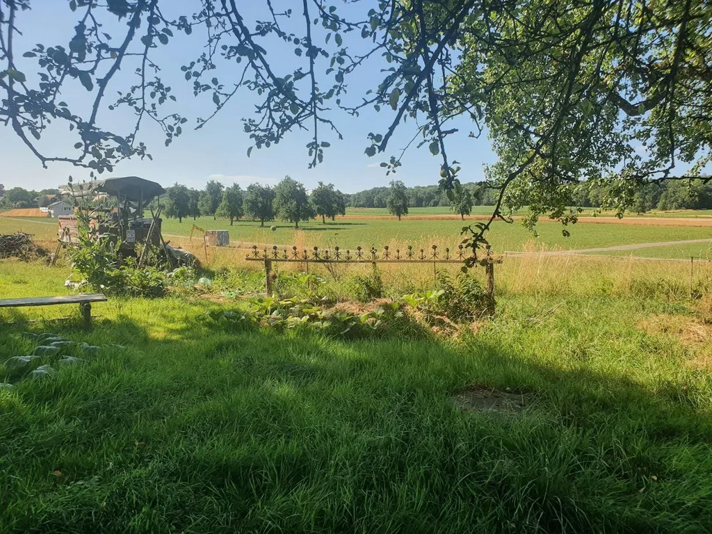 Augenweide