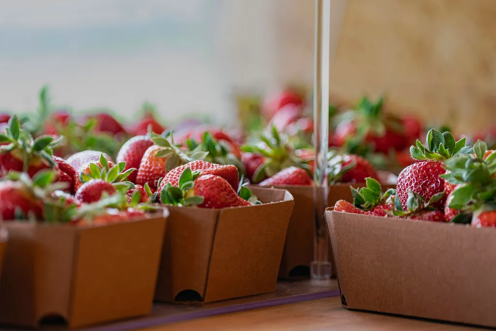 Camping auf der Streuobstwiese