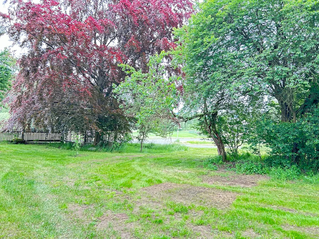 Idylle am Wachhügel