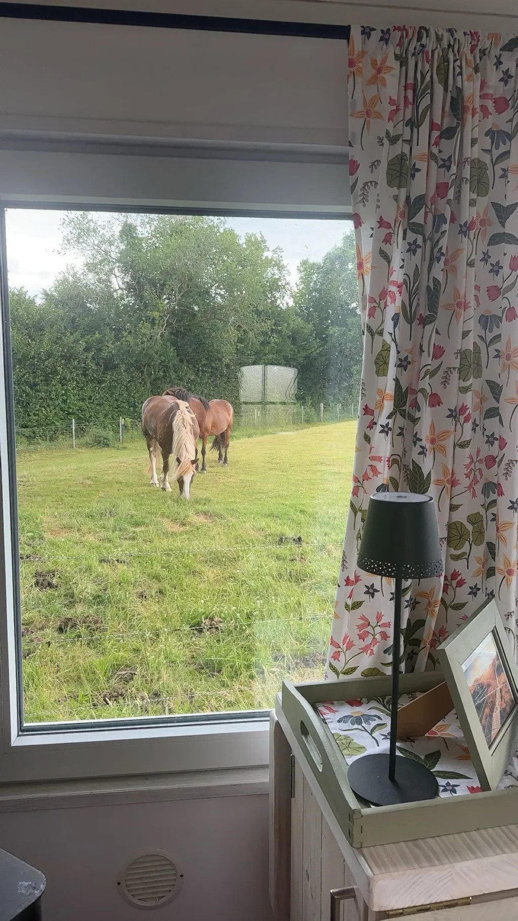 Bild von Kim für den Spot 2369