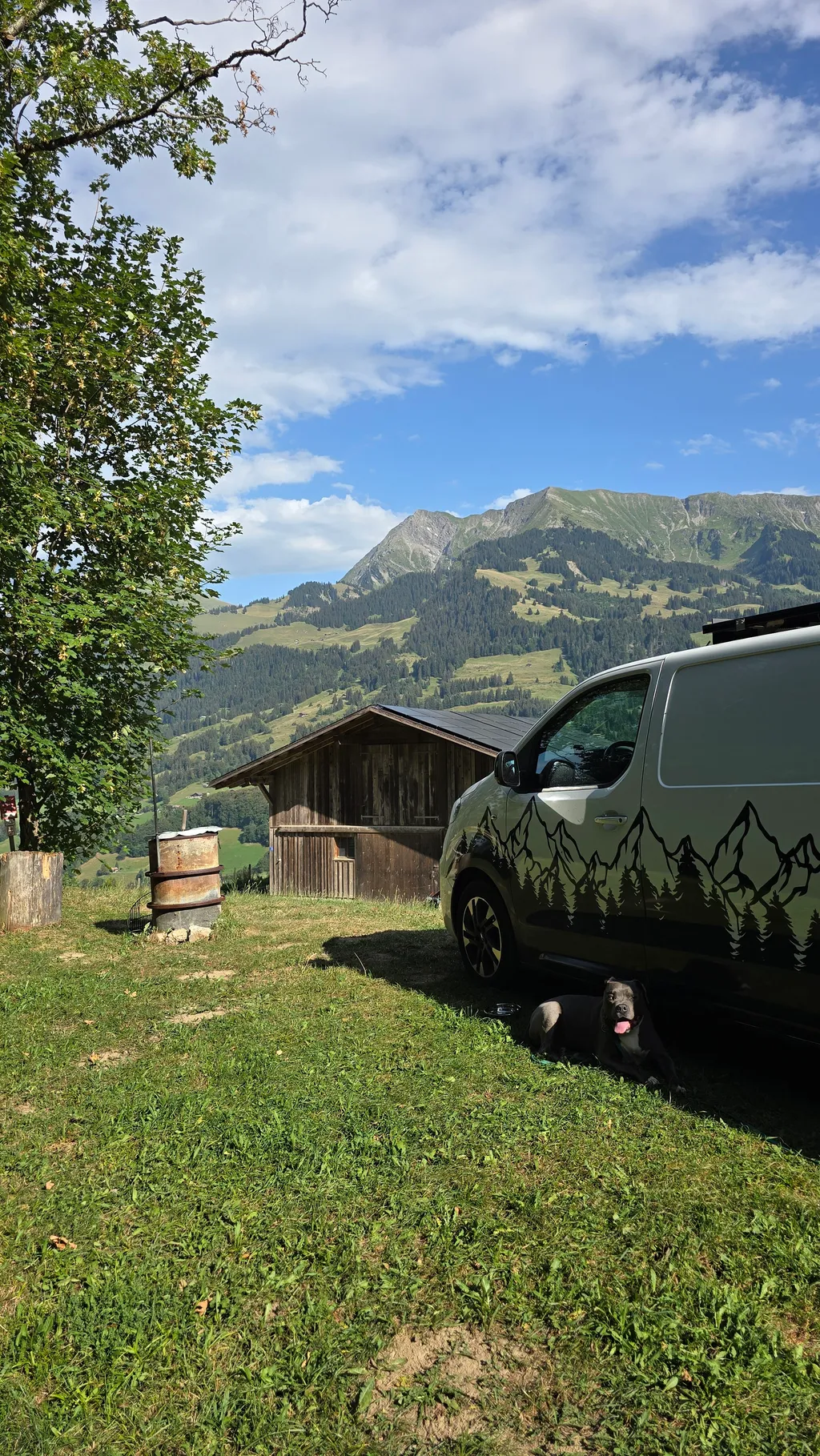 Bild von Ce für den Spot 336