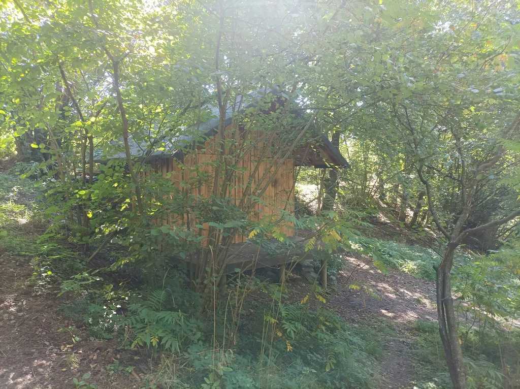 Holzhütte mit 3000m² Waldgrundstück