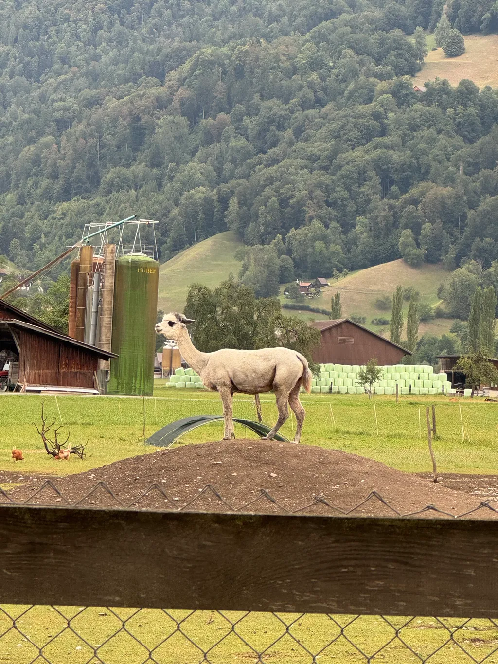 Bild von Sylvain für den Spot 126