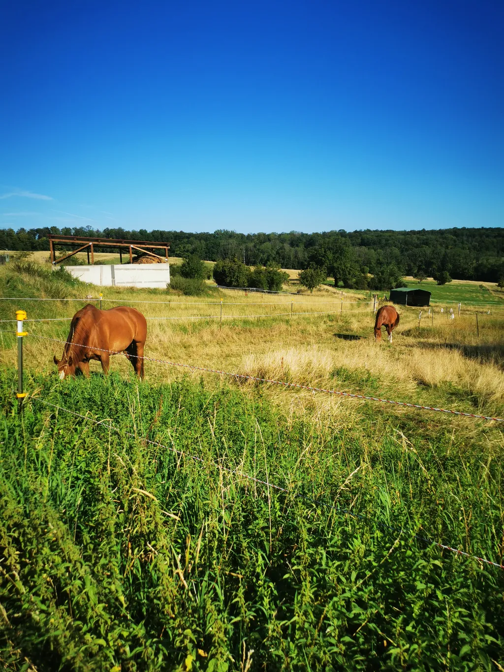 Image by Sara for spot 2278