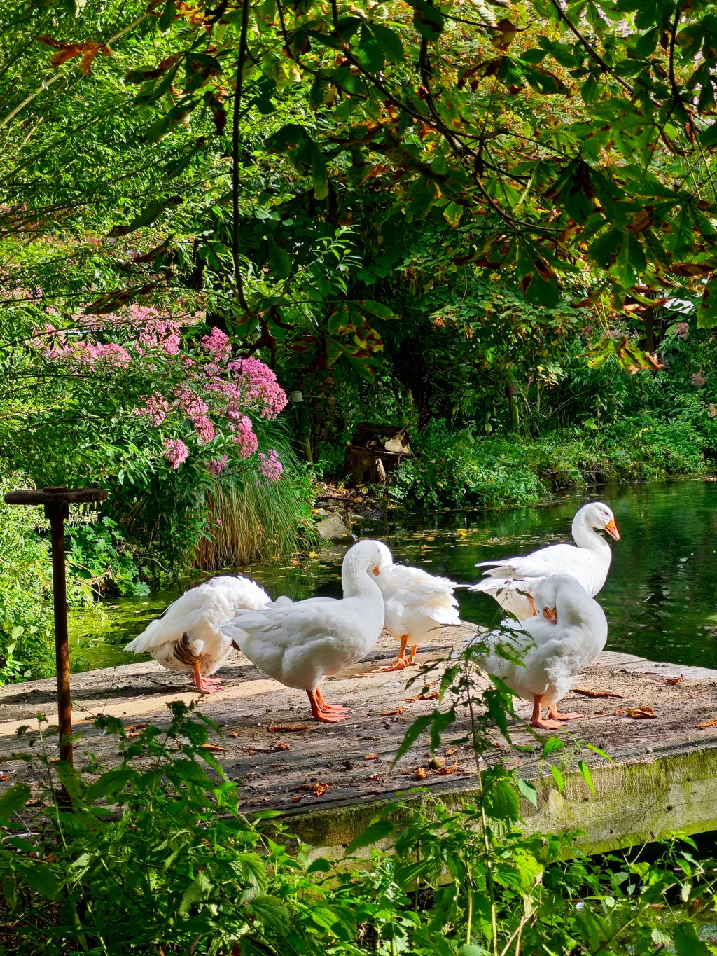 Bild von Karolin für den Spot 3436