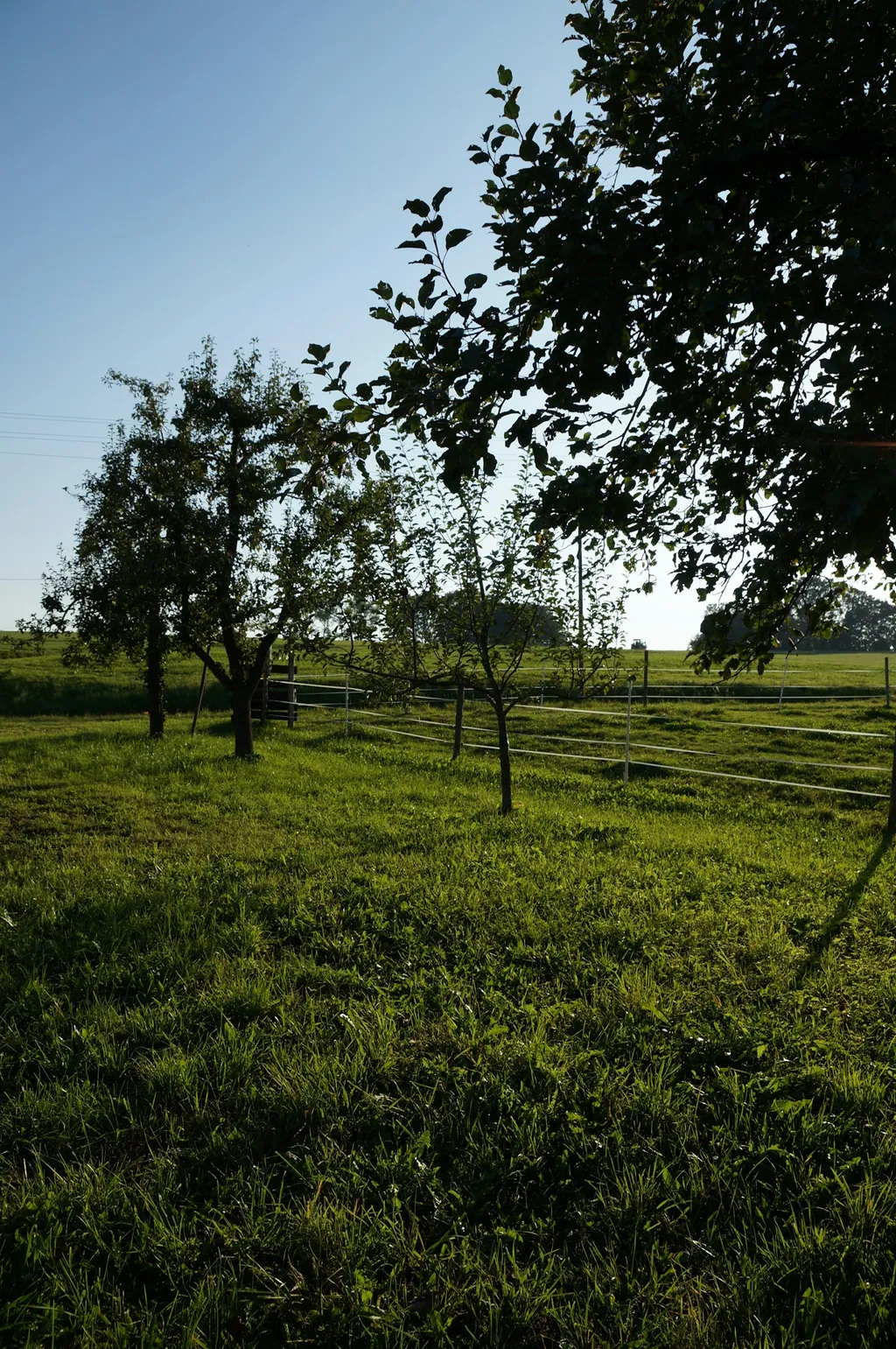 Camping der besonderen Art!