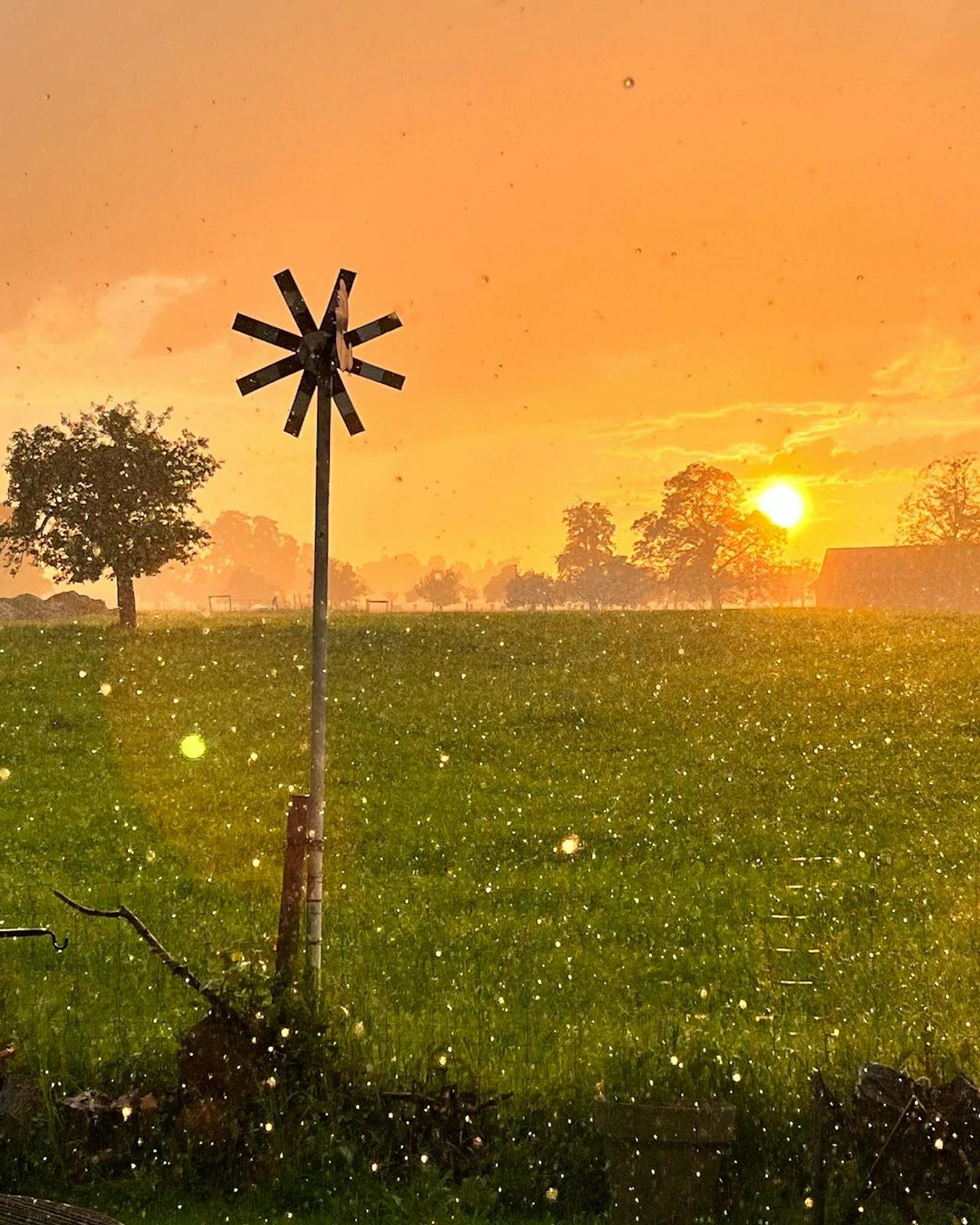 Fischergarten, am Bodensee