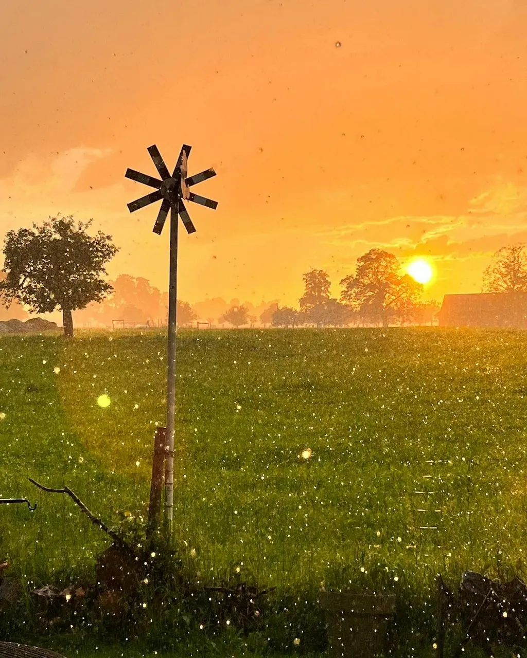 Fischergarten, am Bodensee