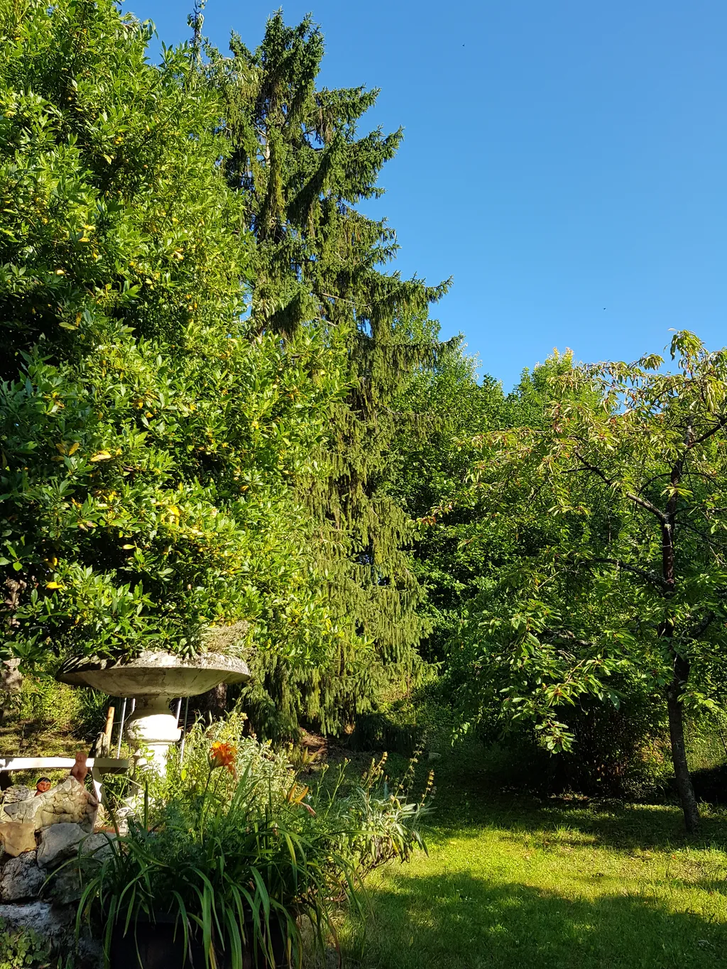 Au Grand Sapin Camping chez l'habitant.