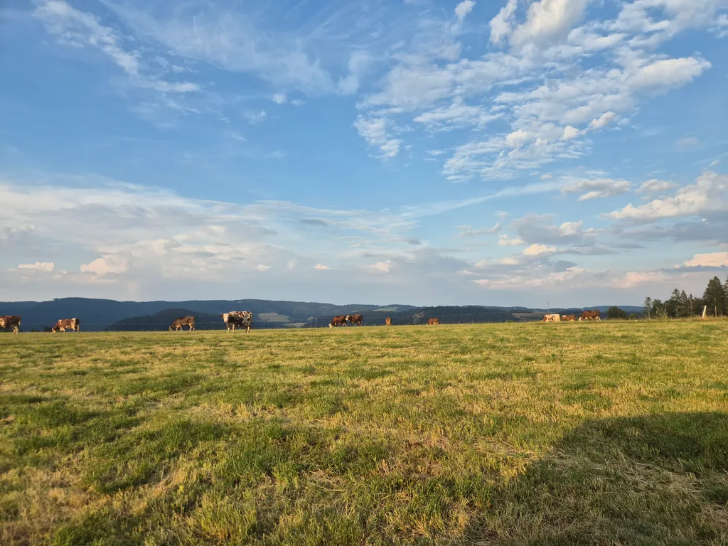 Gasthaus Plattenhof Camping