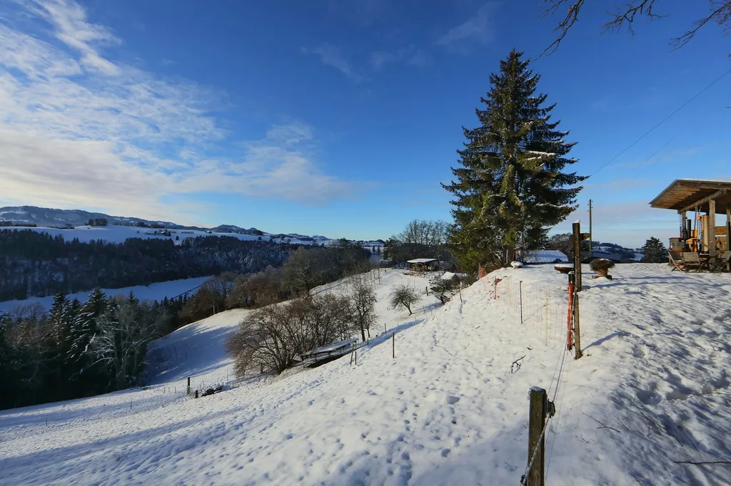 Blick Richtung Westen.