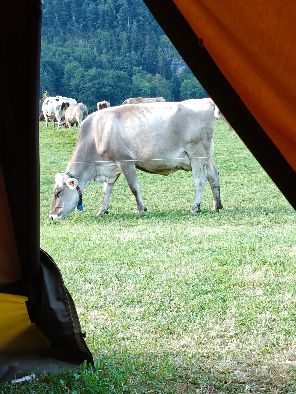 Bild von Hilde für den Spot 1267