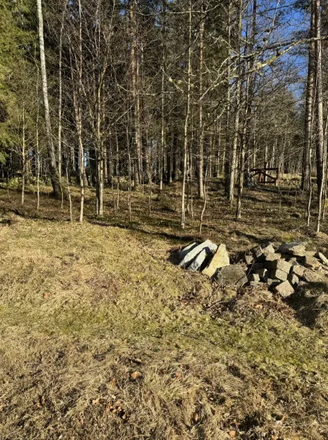 Privater Stellplatz in der Natur – Ruhe 🇸🇪
