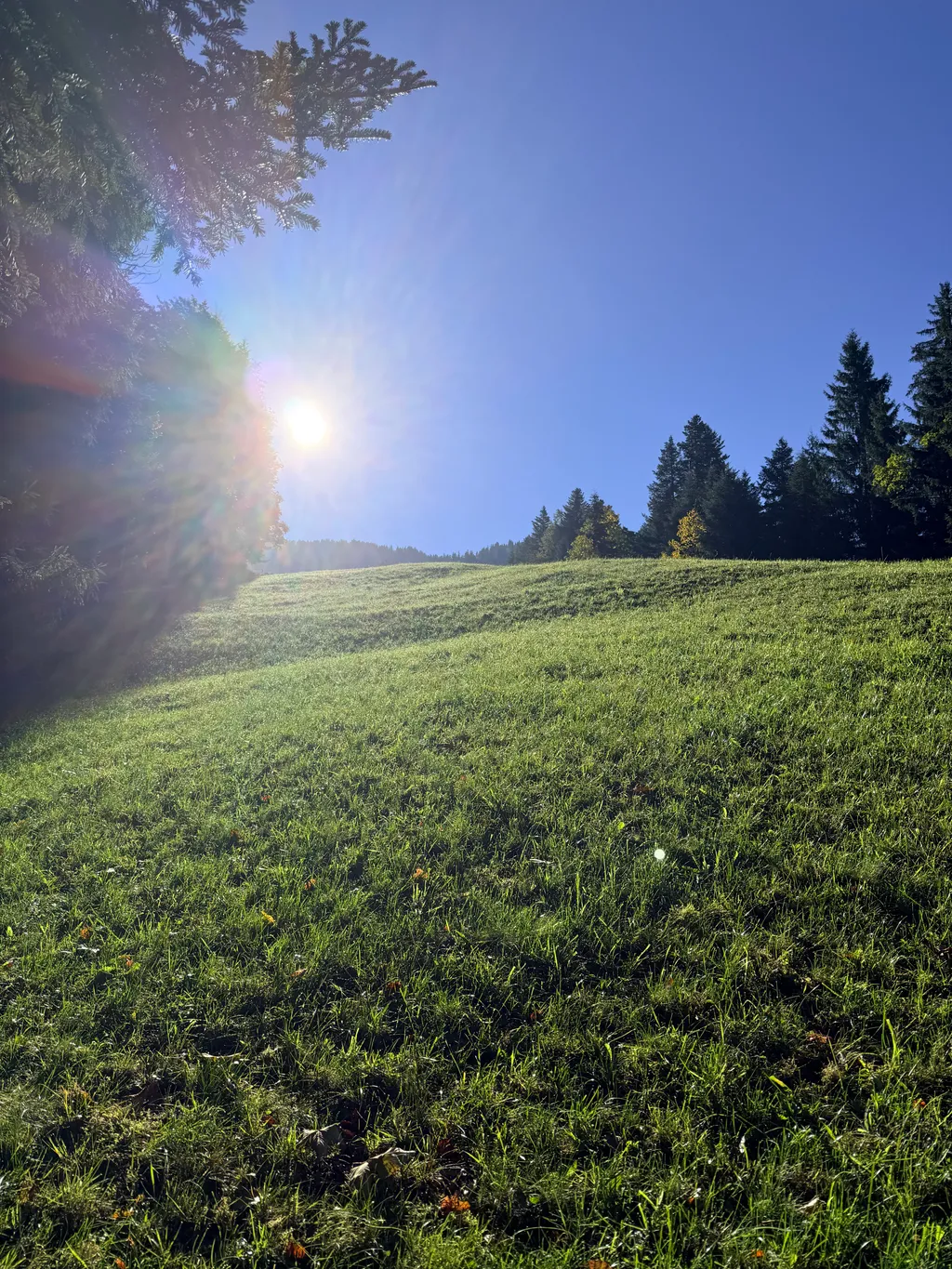 Image de Sam pour le spot 3415