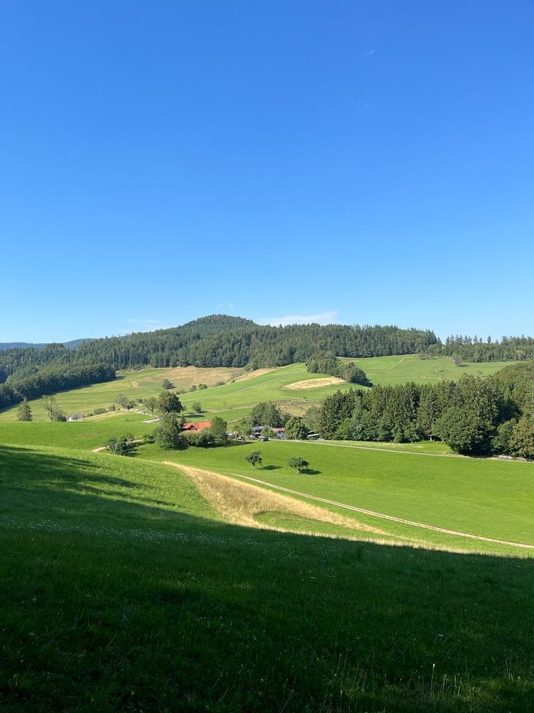 Ruhiger Übernachtungsplatz im Kleinen Wiesental