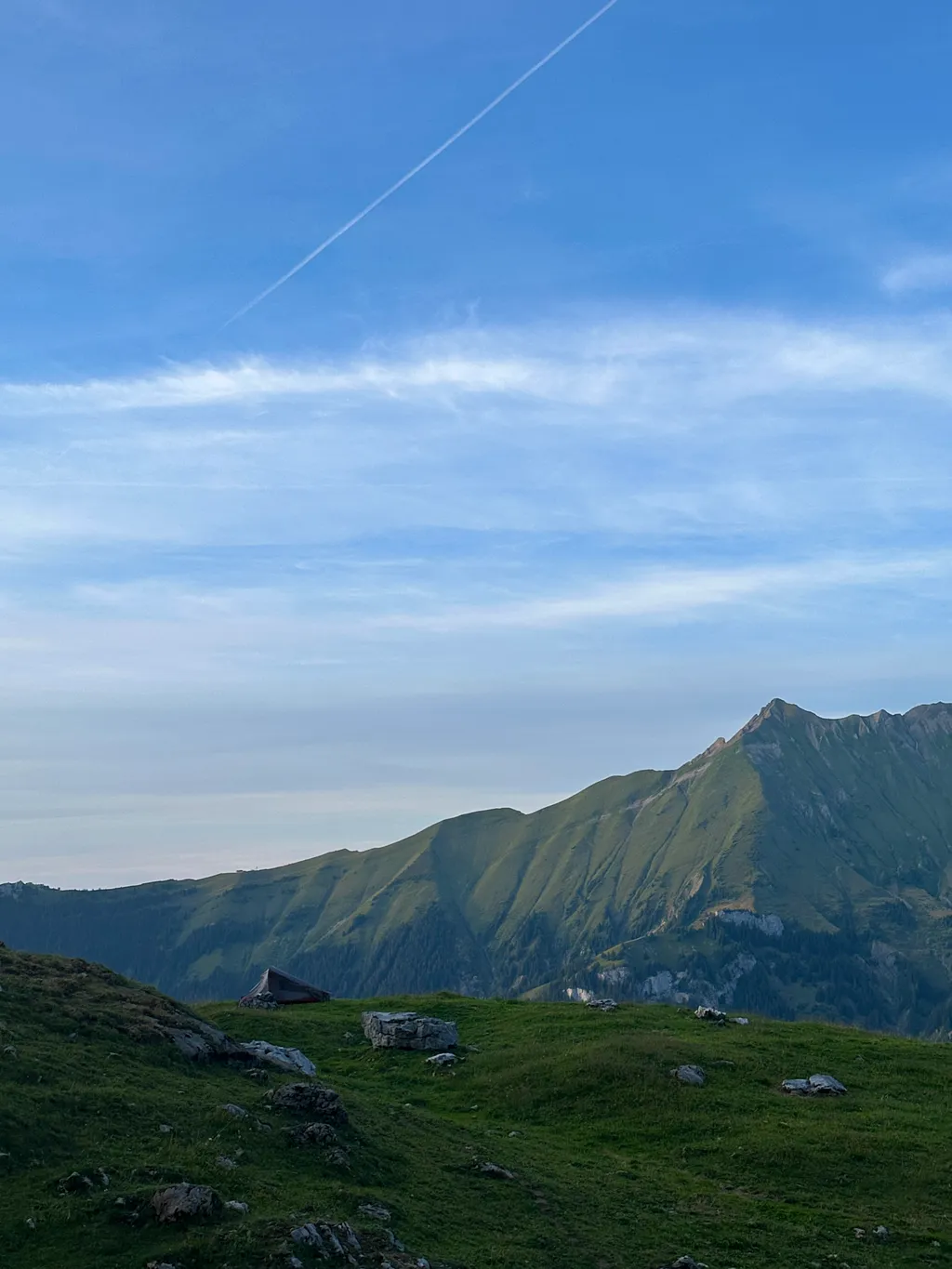 Bild von Amélie für den Spot 4233