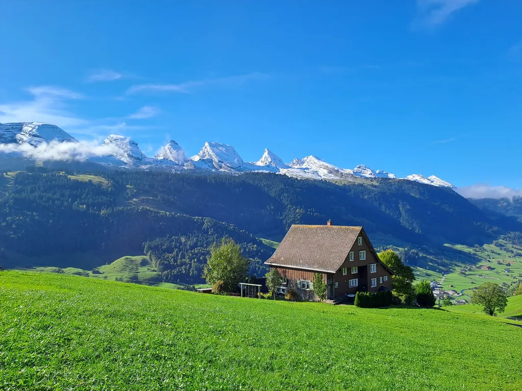 Haldenhof Schwizer Camp