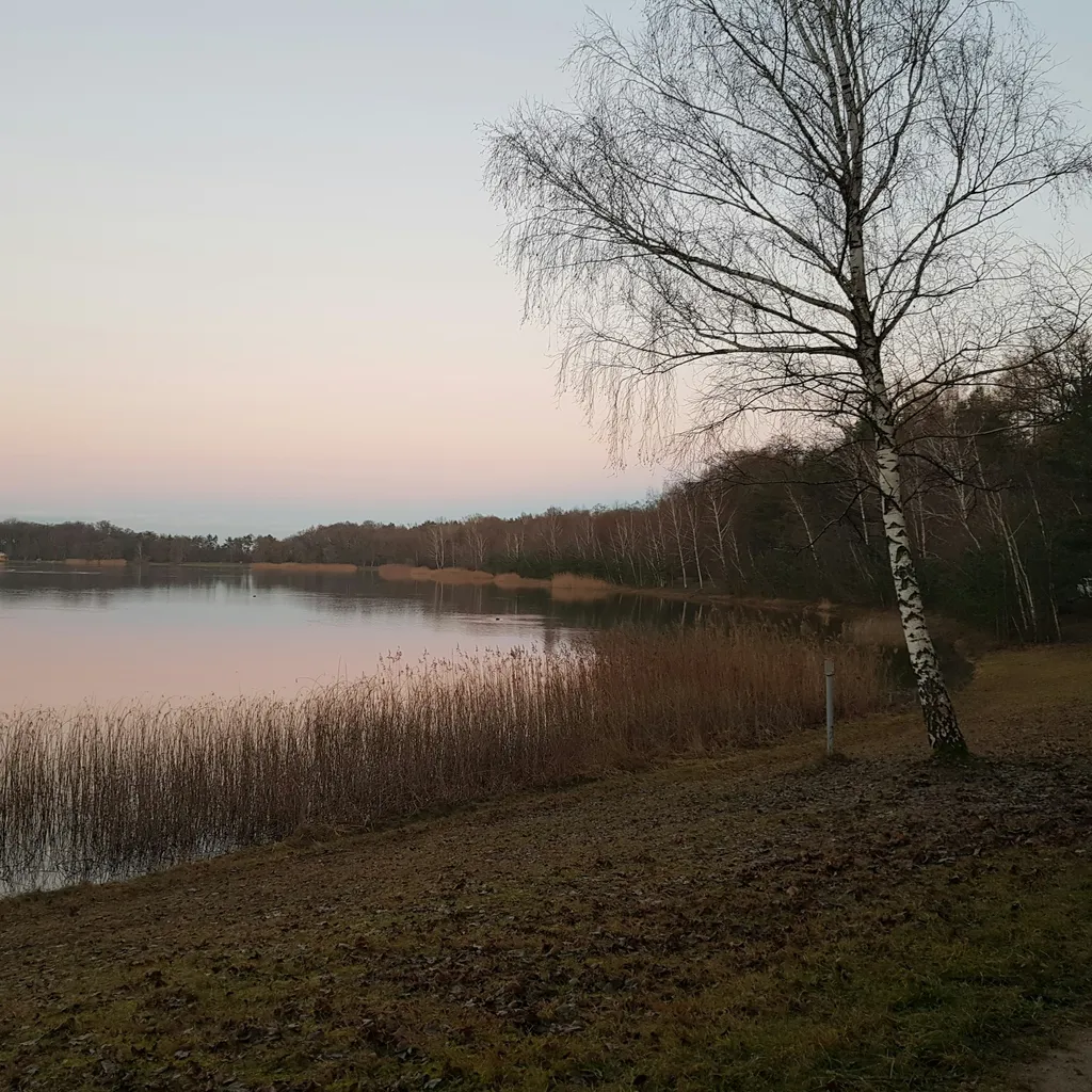 Profilbild von Renate