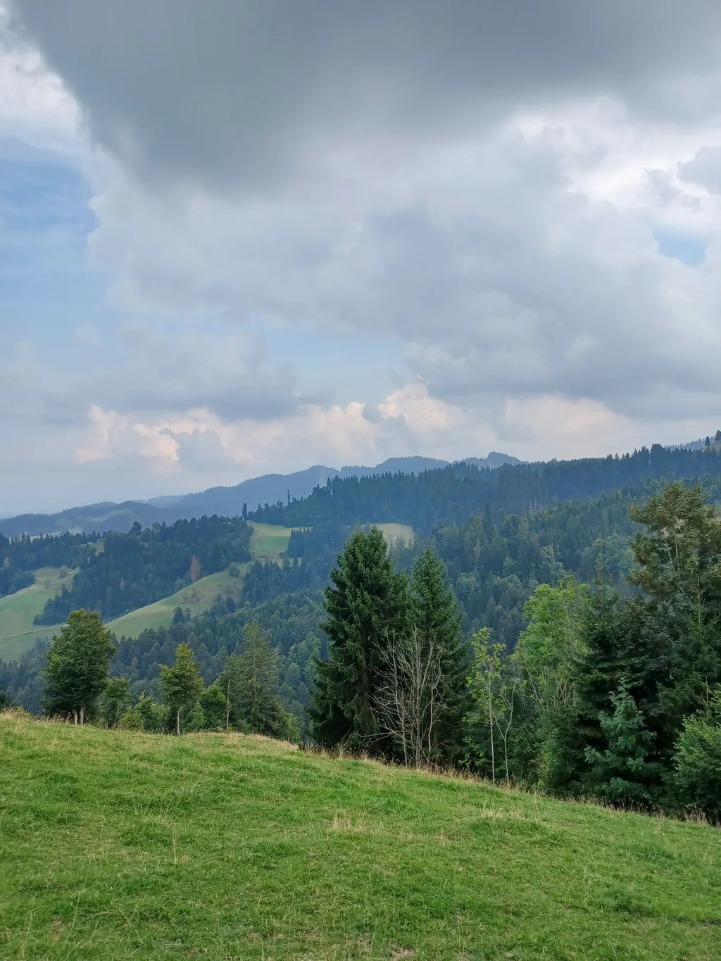 Bild von Christine für den Spot 364