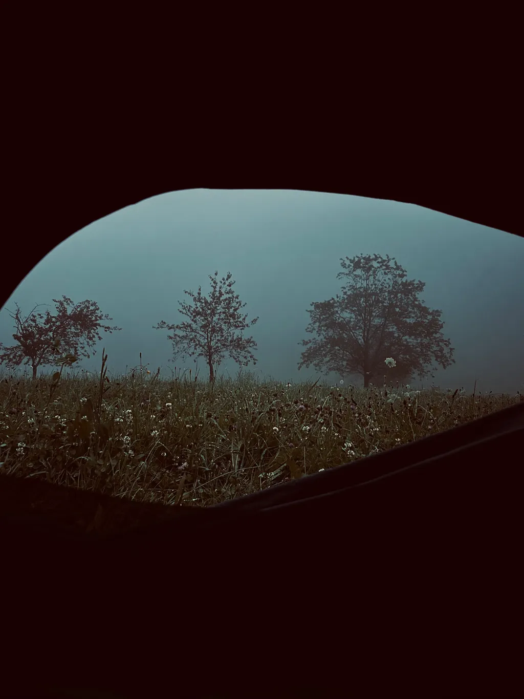 Bild von Kevin für den Spot 1620