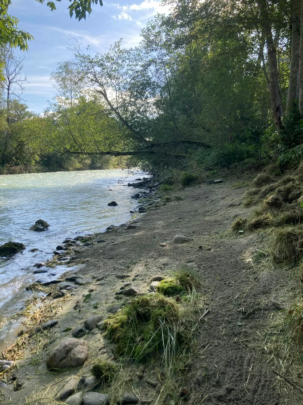 Idyllisches Platzerl an der Enns.