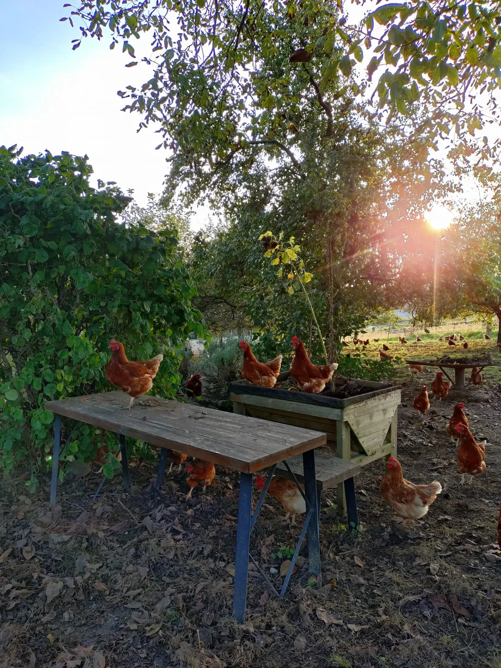 Hanna, Liselotte und Greta verschaffen sich einen Überblick