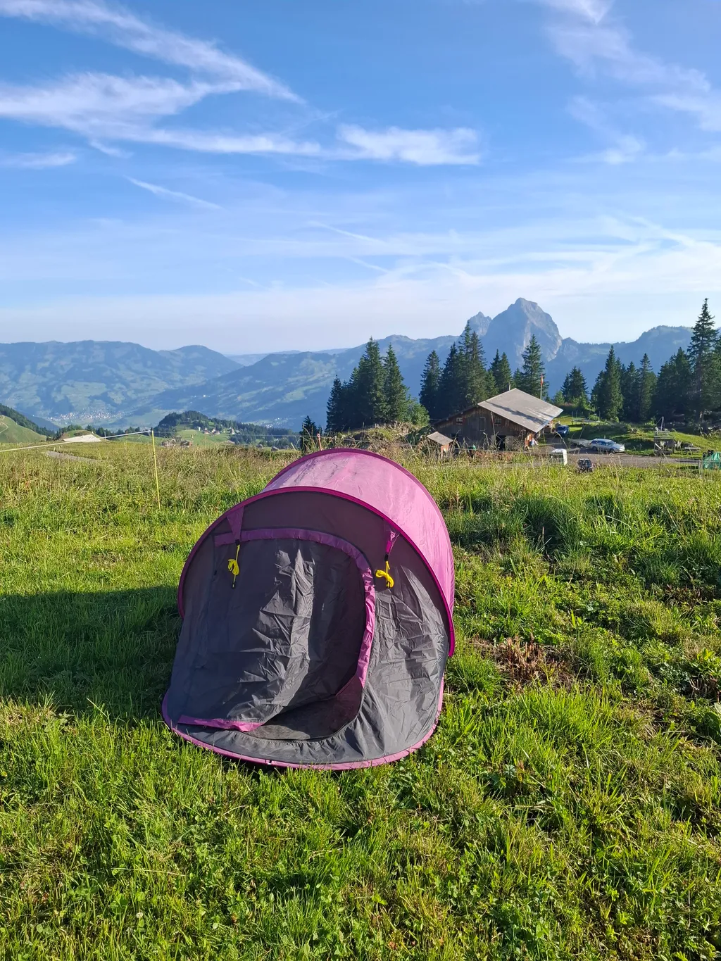 Alpweide mit Panoramablick
