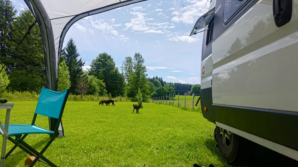 Bild von Nadine für den Spot 1672