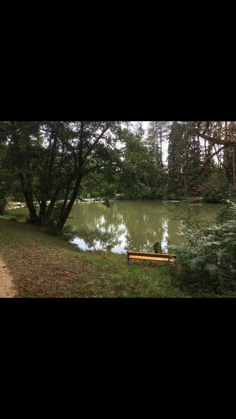 Stellplatz in mitten der Natur