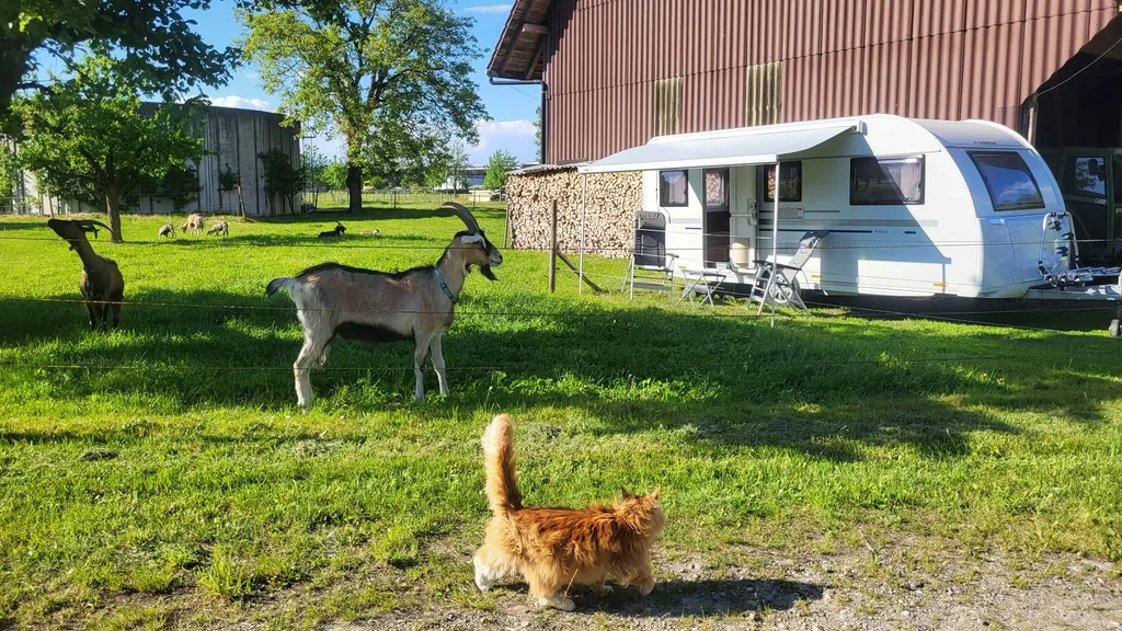 Haselhof erleben und verweilen
