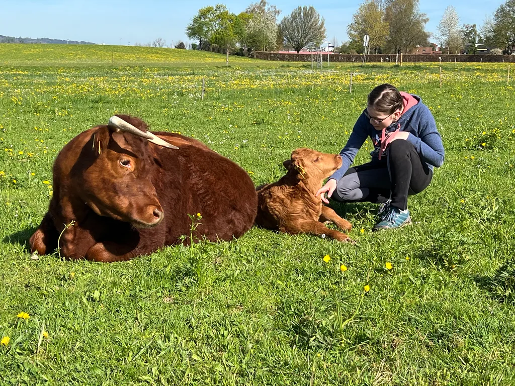 Kuhkuscheln, immer ein besonderes Erlebnis