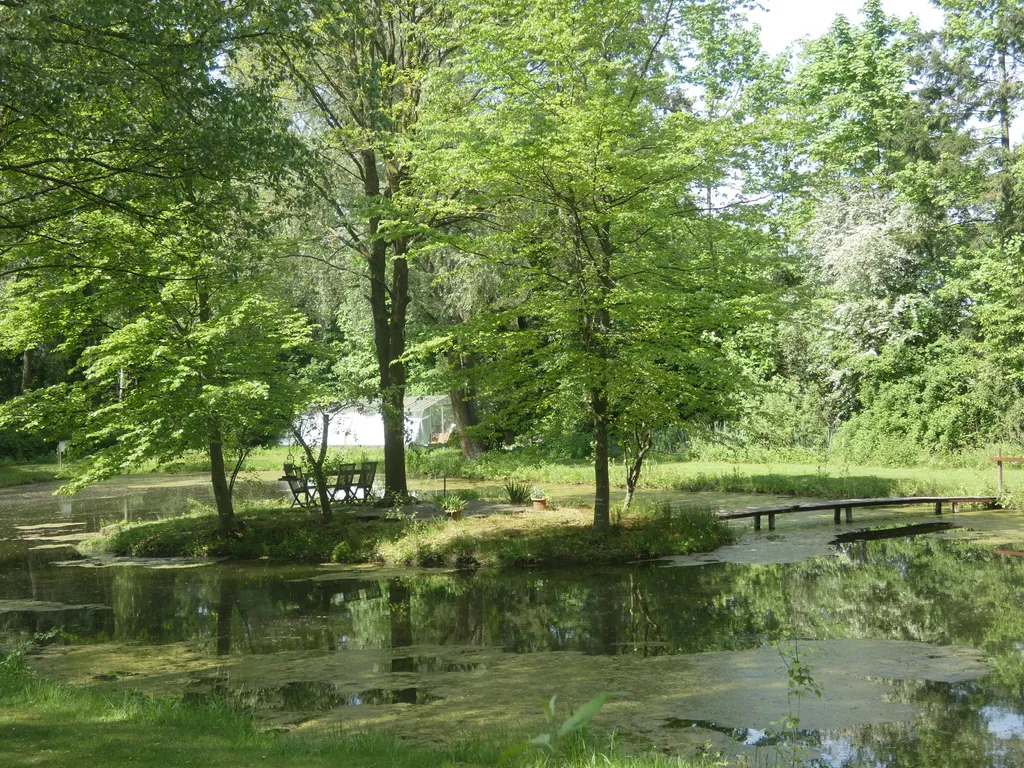 Wassergarten bei NaturOH in Gescher Blick auf See