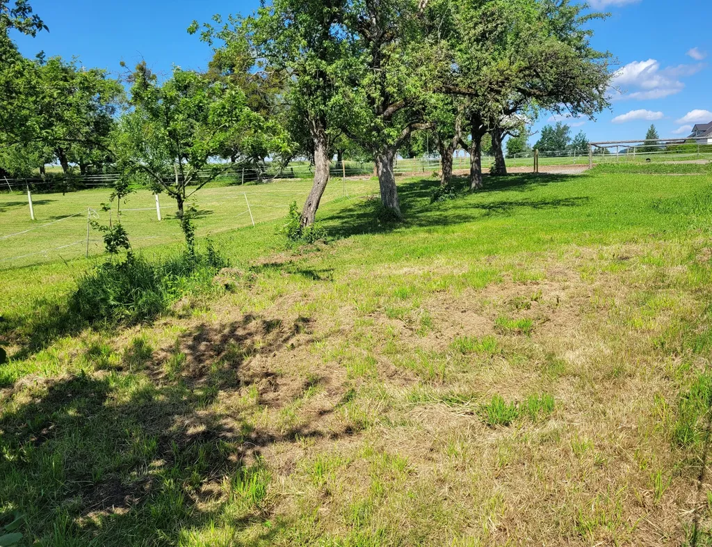 Idyllisches Plätzchen im Obstgarten