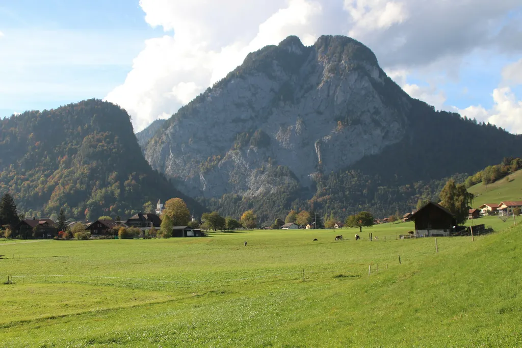 SpringCottage – unterm Walnussbaum