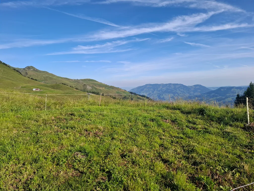 Das ist die Alpweide auf der du dein Zelt aufstellen kannst ;)