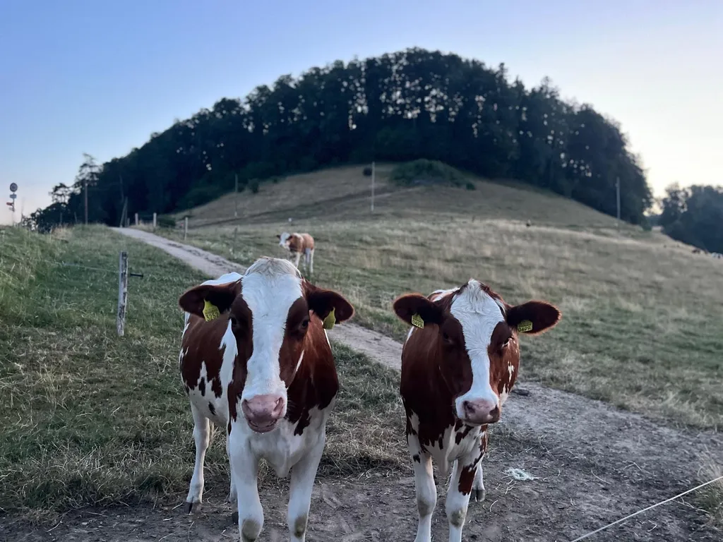 Bild von Benoit für den Spot 3915