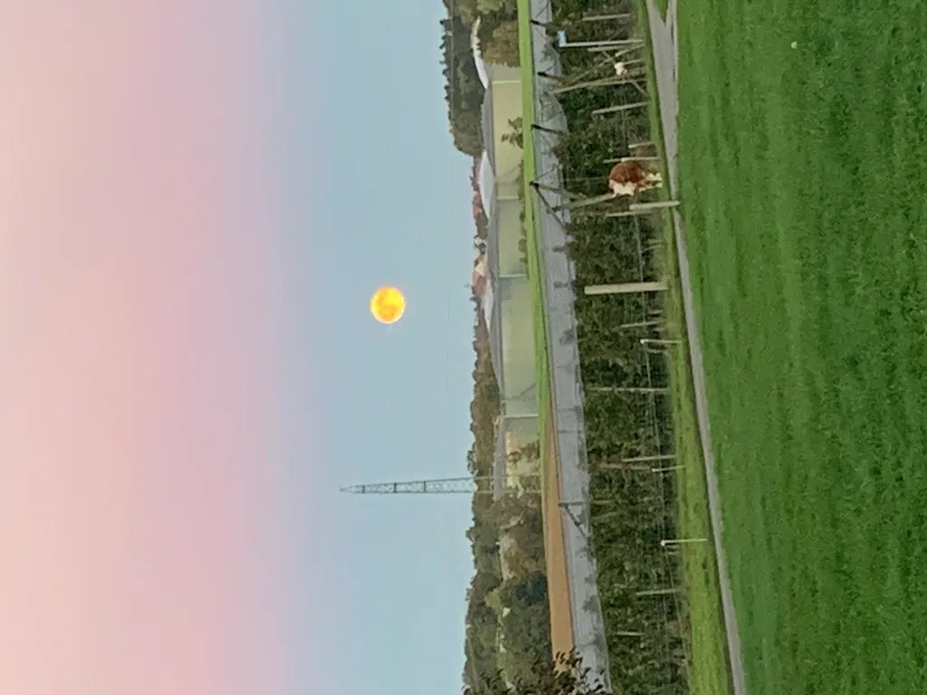 Bild von Ursula für den Spot 78