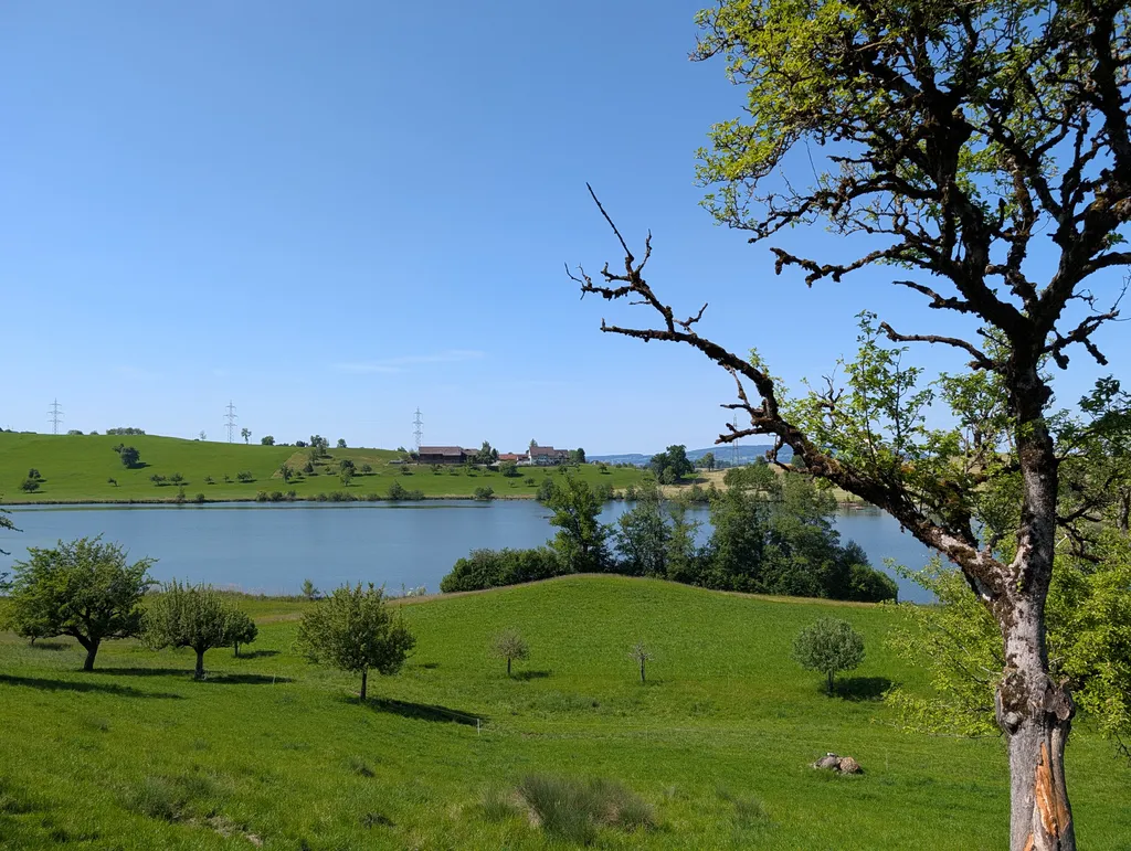 Bild von Mourad für den Spot 439