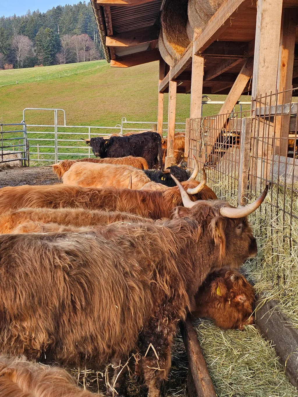 Bild von Remi für den Spot 148