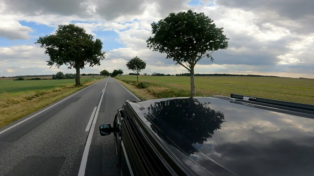 Profilbild von Evelyn