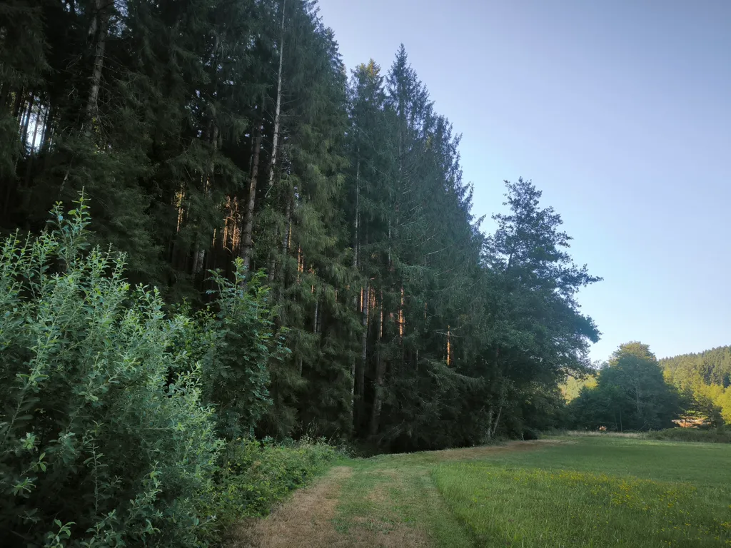 Bild von Philipp für den Spot 5297
