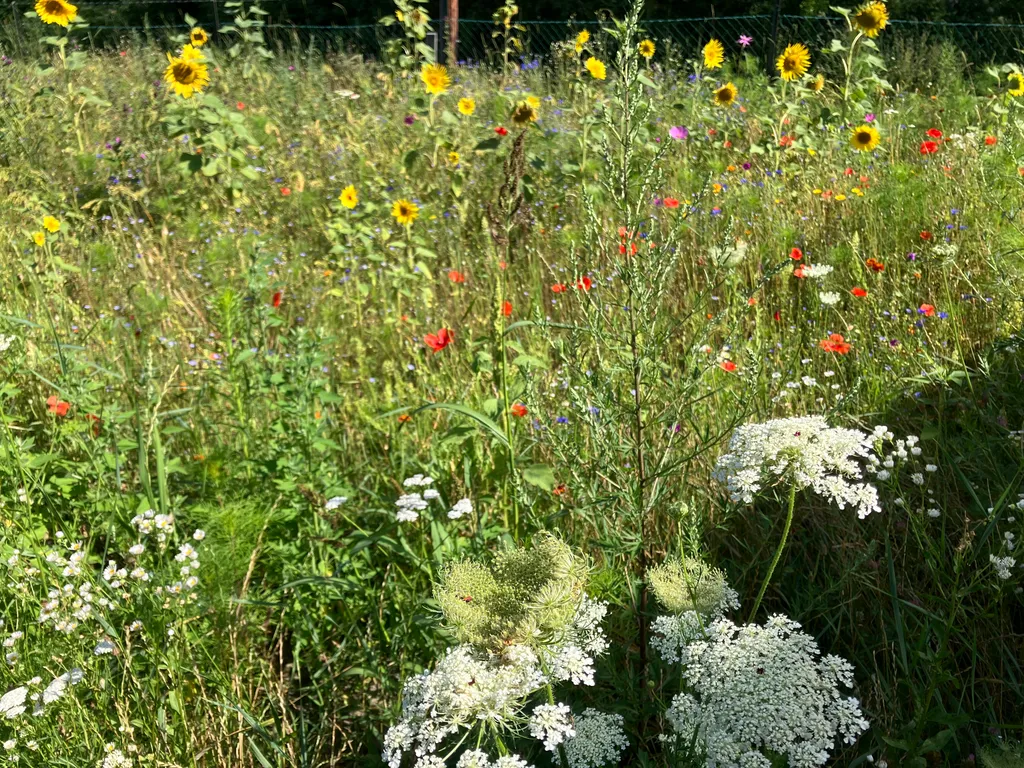 Bild von Kurt für den Spot 1329