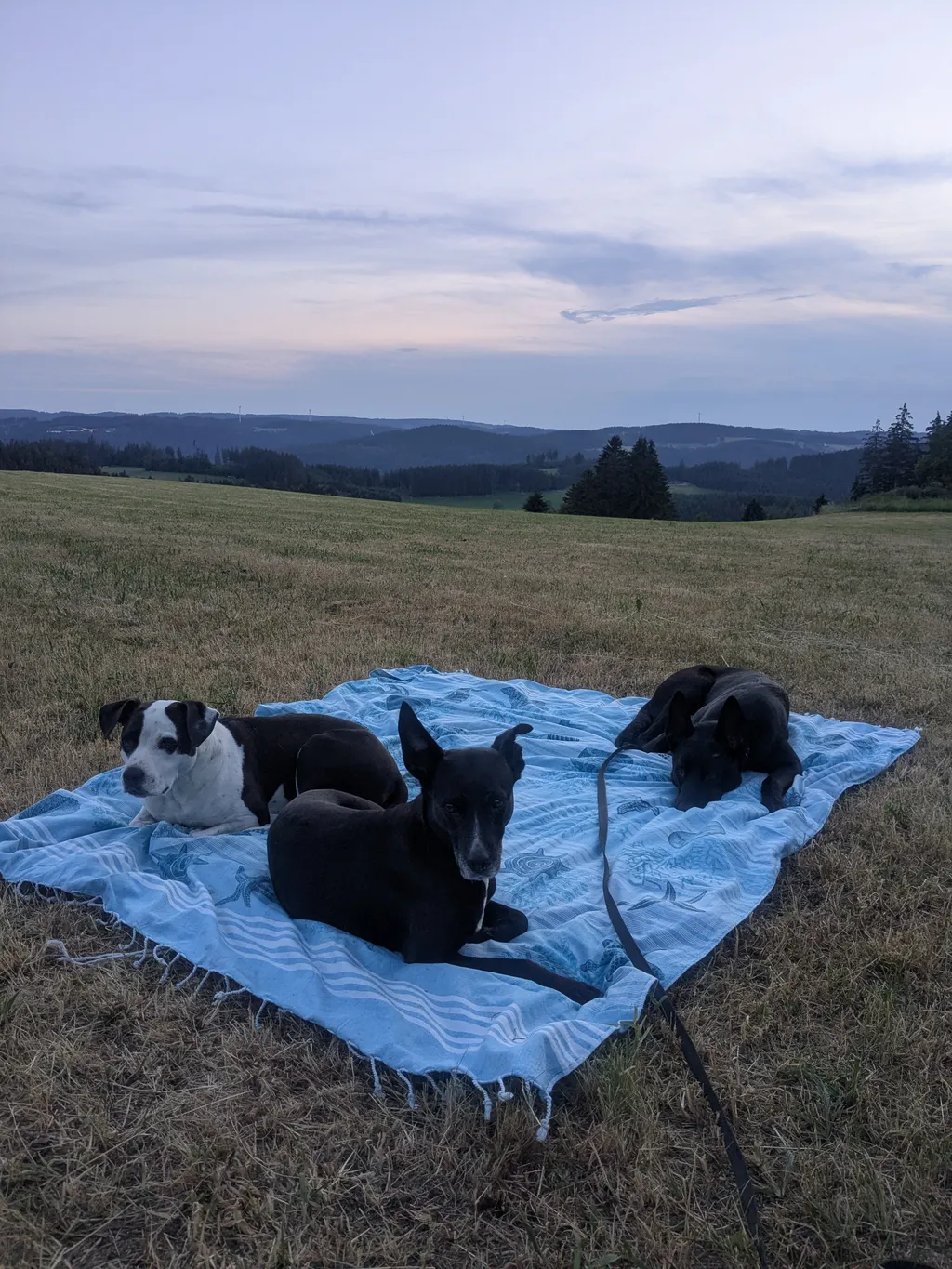 Bild von Michèle für den Spot 5226