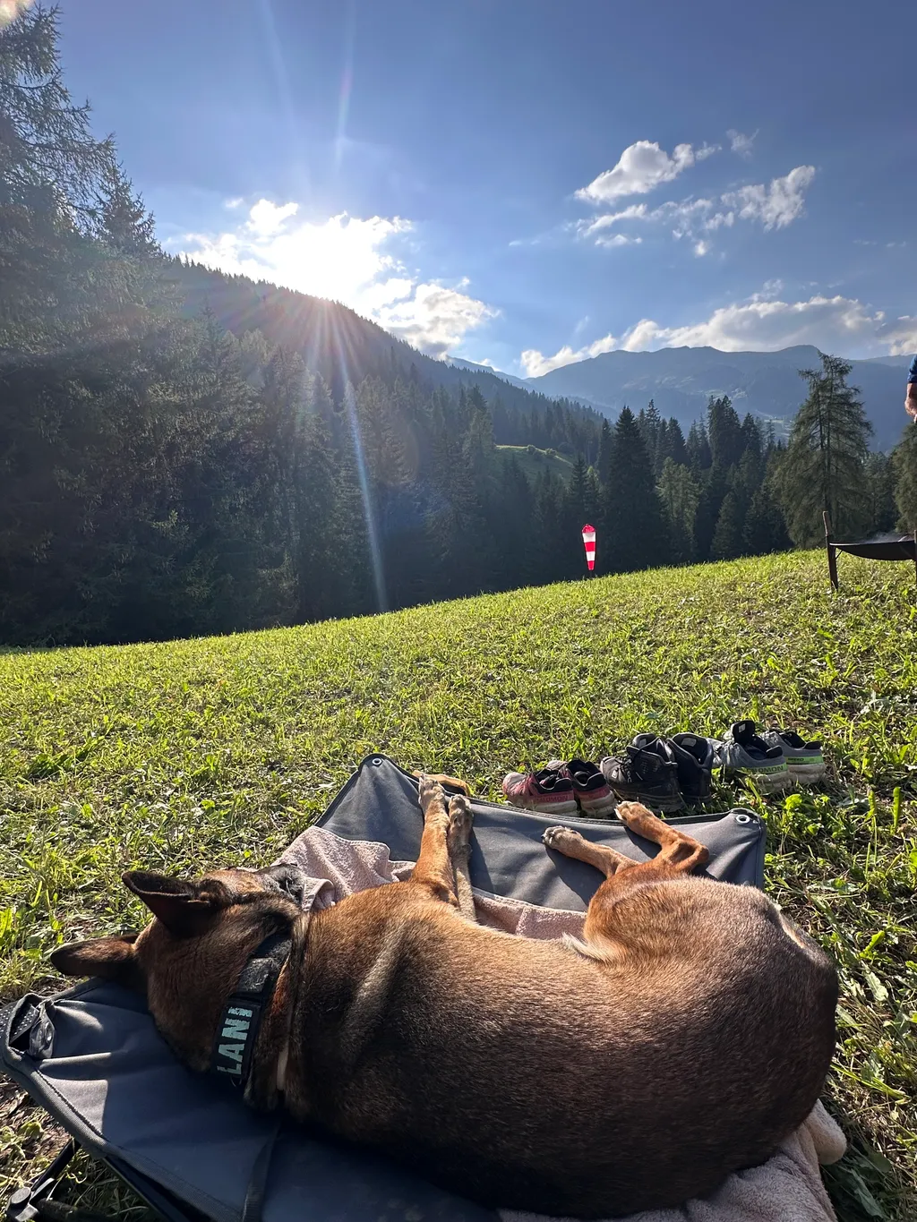 Bild von Stefanie für den Spot 136