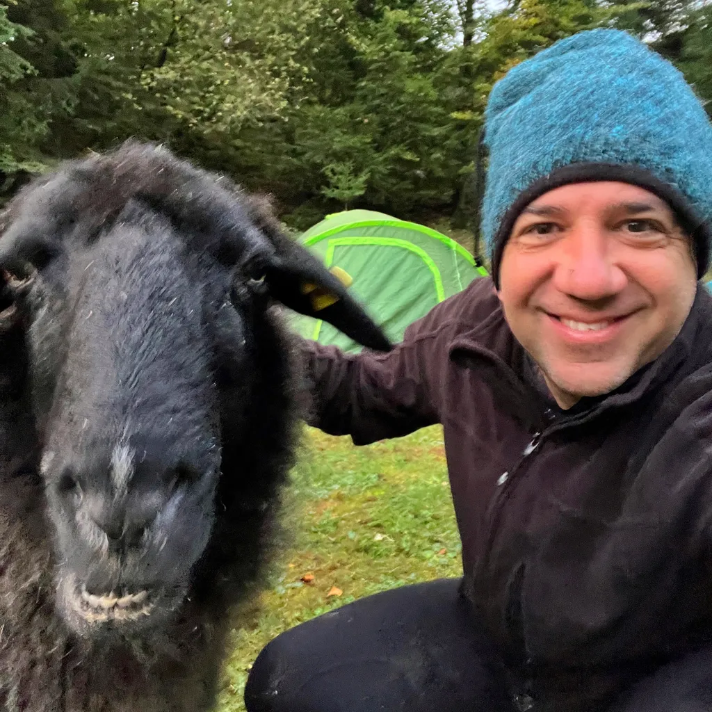 Profilbild von Baris